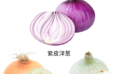 玛卡三七枸杞泡酒的功效网三七可以和玛咖泡酒吗知识网站,分享玛卡跟枸杞泡酒有什么功效大全