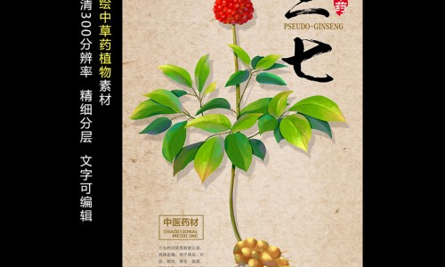 玛卡枸杞黄芪三七可一起泡酒-玛卡三七枸杞泡酒的功效网三七可以和玛咖泡酒吗知识网站,分享玛卡跟枸杞泡酒有什么功效大全